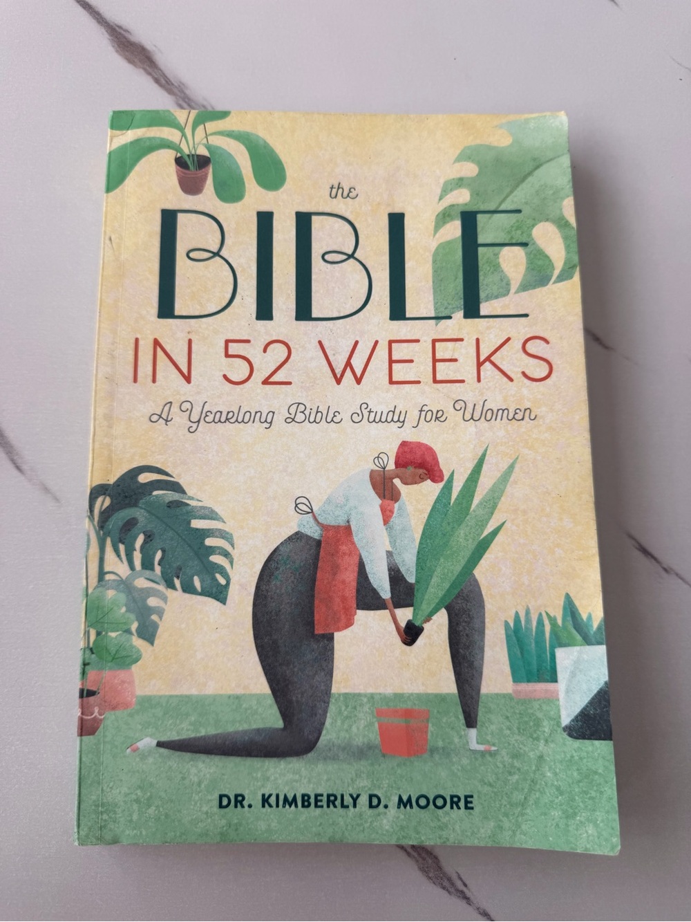 The Bible in 52 Weeks - Cream/Green Cover